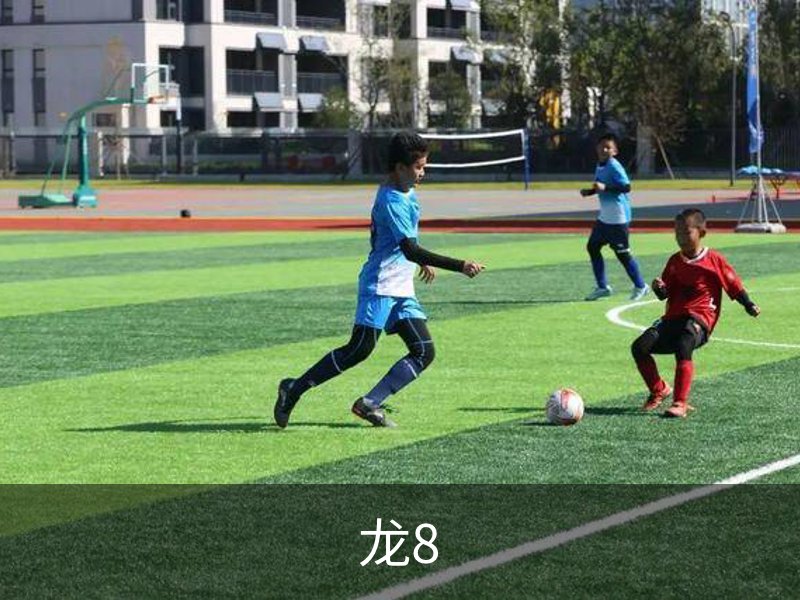 龙8概况